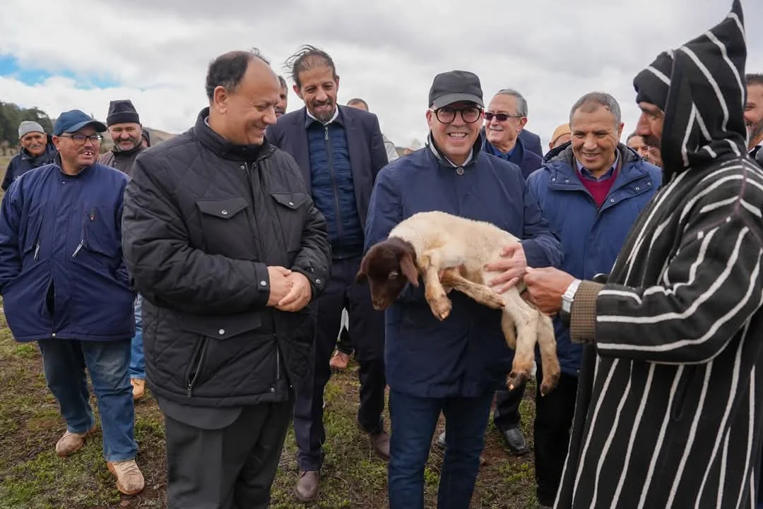  اختلالات ترقيم المواشي وتأثيراتها على توزيع الدعم تُطارد وزير الفلاحة أمام البرلمان 