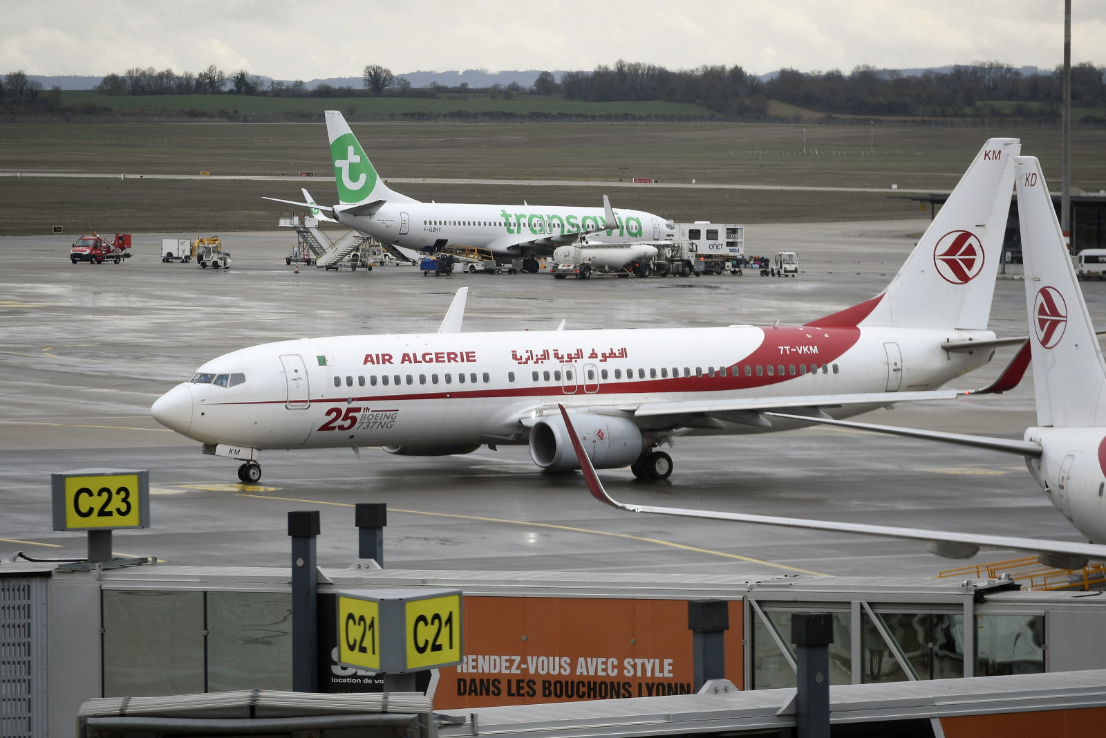  تدهور احتياطي العملة الصعبة يدفع الجزائر لحجز 307 ملايين دولار لشركات الطيران العالمية التي تقصد مطاراتها.. والاتحاد الدولي للنقل يعتبر "الإجراء" انعكاسا لعدم الاستقرار السياسي والاقتصادي 