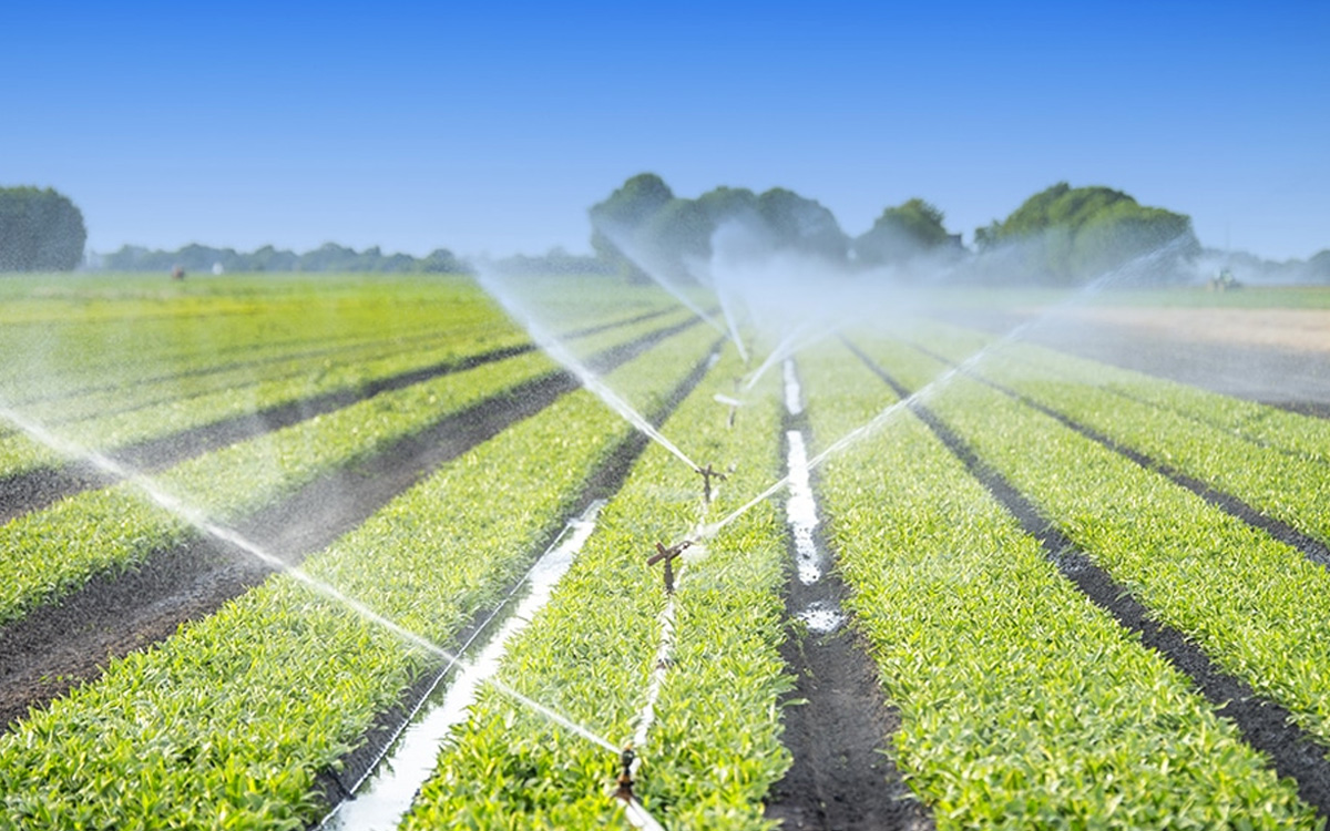 حين تُوسّع وزارة الفلاحة المساحات المسقية بينما تعلن وزارة الماء حالة الطوارئ.. كيف يُصدّر المغرب مياههُ ويستورد طعامه؟