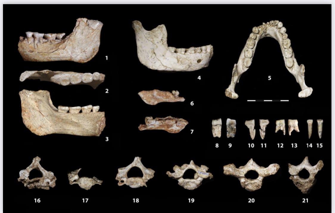  اكتشاف بقايا بشرية قديمة بالدار البيضاء يسلط ضوءا جديدا على فترة حاسمة من تطور البشرية 