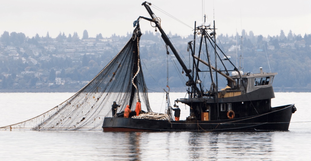  بروكسل تمنح الضوء الأخضر لبدء مفاوضات التوصل لاتفاق جديد للصيد البحري مع المغرب 