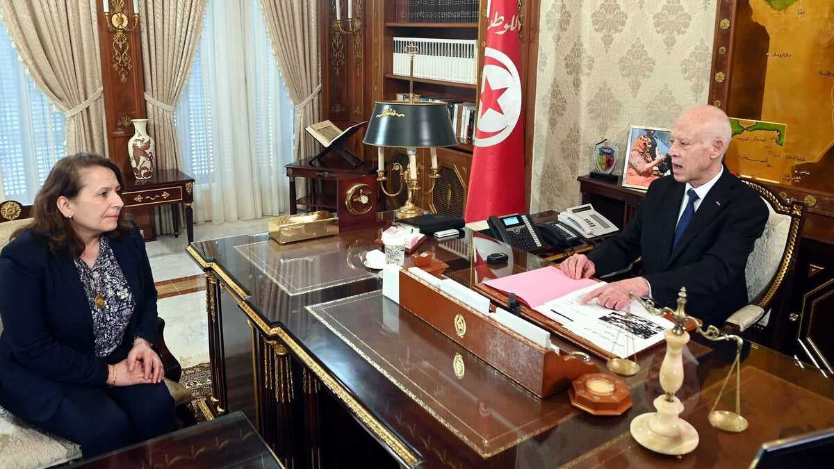 إقالة وزيرة الطاقة التونسية في خضم اتهامات برهن موارد البلاد لأطراف خارجية