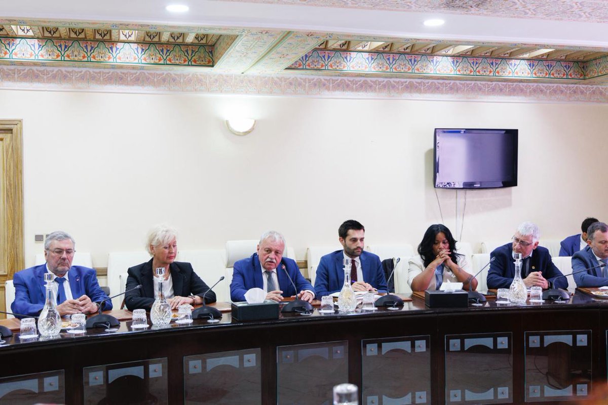 نقاش مغربي فرنسي بمجلس المستشارين حول التعاون في مجال الطاقات المتجددة