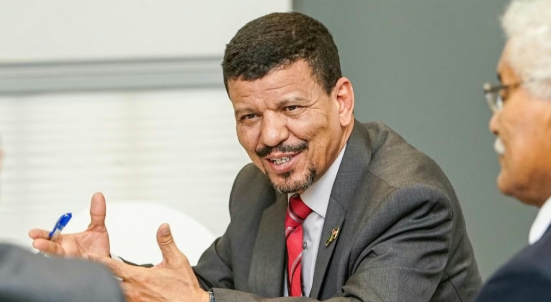 مسؤول دبلوماسية 